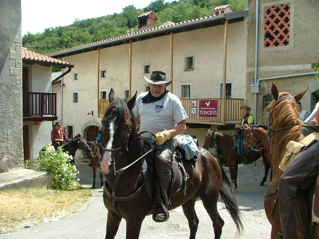 Hotel Toncevi Eco Estate Branik Exterior foto